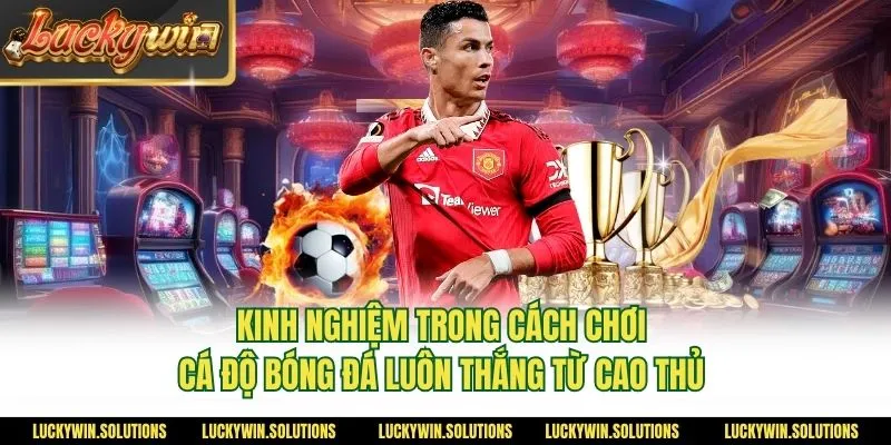 Kinh nghiệm trong cách chơi cá độ bóng đá luôn thắng từ cao thủ