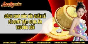 Cách Chơi Xóc Đĩa Chẵn Lẻ | Bí Quyết Đặt Cược Ăn Thưởng Lớn