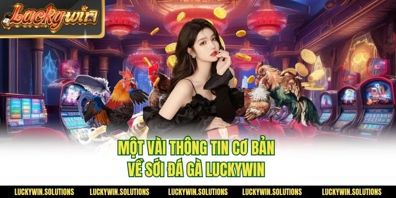 Một vài thông tin cơ bản về sới đá gà Luckywin 
