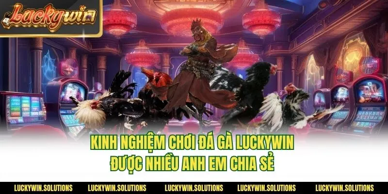Kinh nghiệm chơi đá gà Luckywin được nhiều anh em chia sẻ 