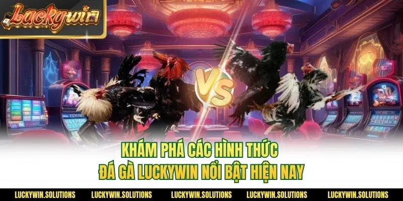 Khám phá các hình thức đá gà Luckywin nổi bật hiện nay