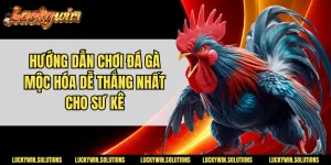 Hướng Dẫn Chơi Đá Gà Mộc Hóa Dễ Thắng Nhất Cho Sư Kê